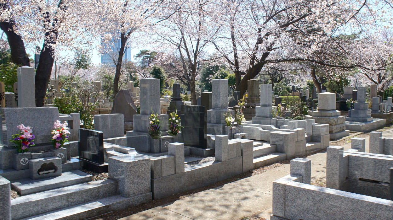 春には見事な桜が咲く桜の名所です。