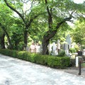 都立青山霊園