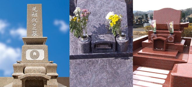 石種による見た目の変化