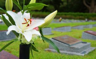 人気の「横浜市営墓地」6霊園をランキング形式でご紹介 ...