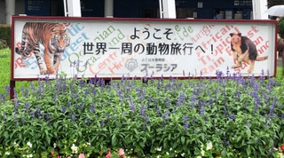 ズーラシア_入り口