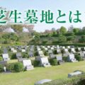 芝生墓地とは