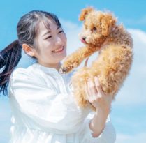 ペットイメージ