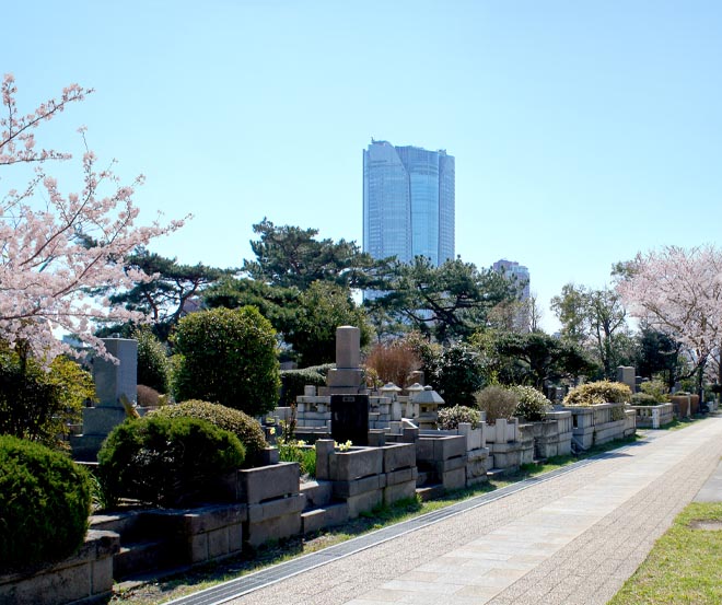 青山霊園風景