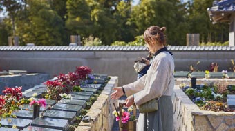 流山市 樹木葬  彩華
