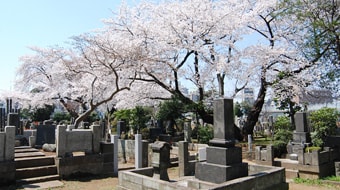 都立染井霊園